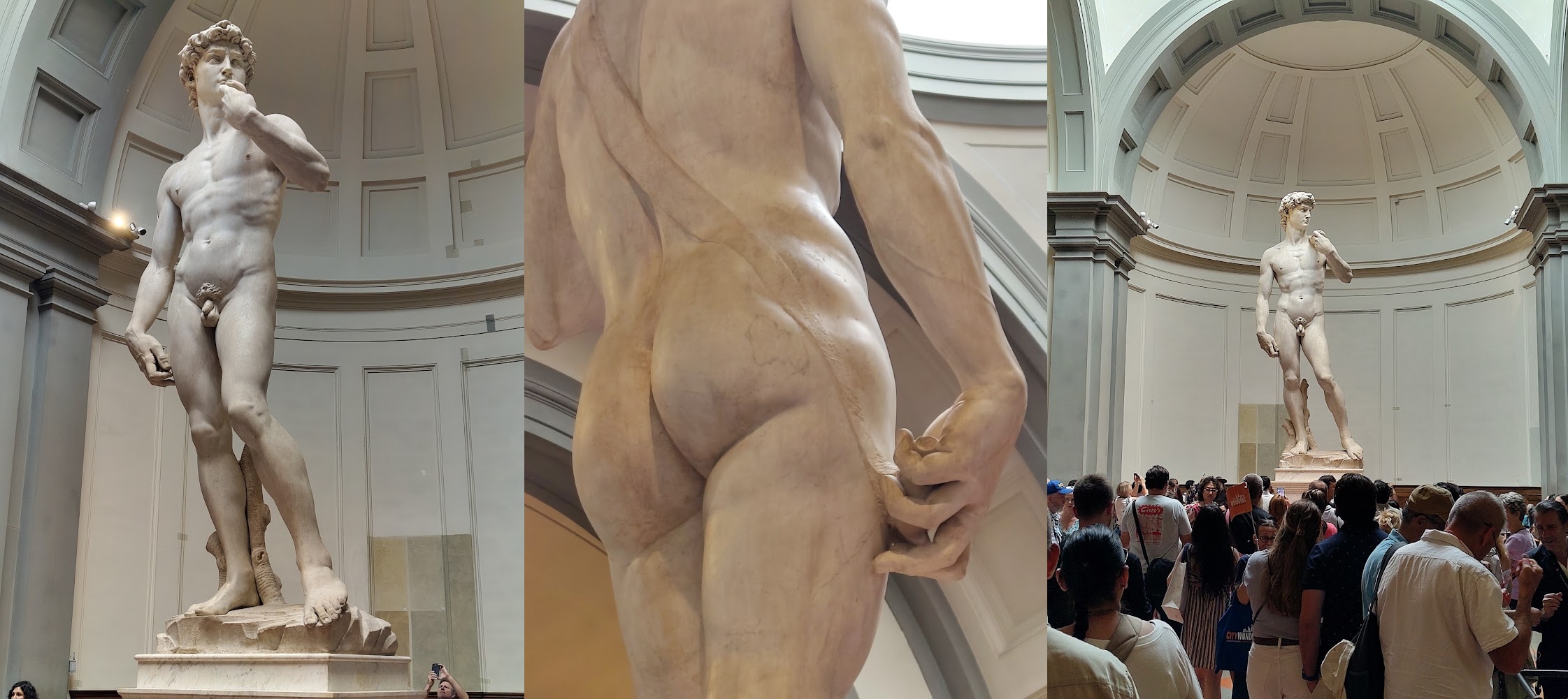 Michelangelo's David seen from below, behind, and afar for reference
